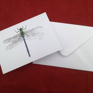 Kaiser Libelle Karte, Libelle Karte, Grußkarte, Insekt Karte, Bug Karte , Blanko Grußkarte, Geburtstagskarte, Libelle, Karten
