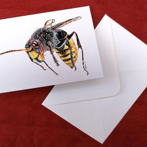 Carte frelon, carte de voeux, carte insecte, carte insecte, cartes animal, carte de voeux vierge, carte d'anniversaire, frelon, cartes de fête, carte vierge