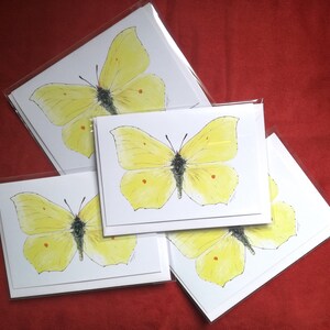 Cartão de borboleta Brimstone, cartão de borboleta, cartão de felicitações, cartão de inseto, cartão, cartão de felicitações em branco, cartão de aniversário, borboleta, presentes de borboleta