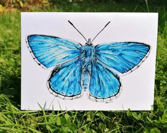 Adonis blue butterfly Card, Butterfly card, Greetings card, Insect card, Bug card, Animal cards, Blank greetings card, Blue Butterfly