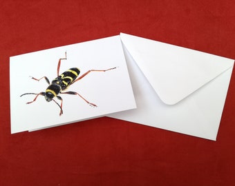 Wasp Beetle Card, Beetle card, Greetings card, Insect card, Bug card, Animal cards, Blank greetings card, Birthday card, Wasp Beetle, Beetle