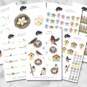 Spring Birds Planner Sticker Sheet & Month Kit