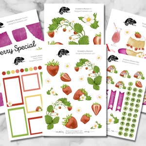 Strawberry Blossom Sticker Sheets & Month Kit