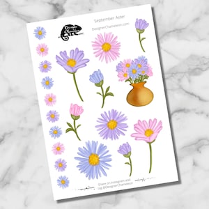 September Birth Flower Aster Stickers