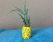 Pineapple airplant planter holder polymer clay