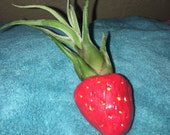 Strawberry airplant planter holder polymer clay christmas gift fuss free
