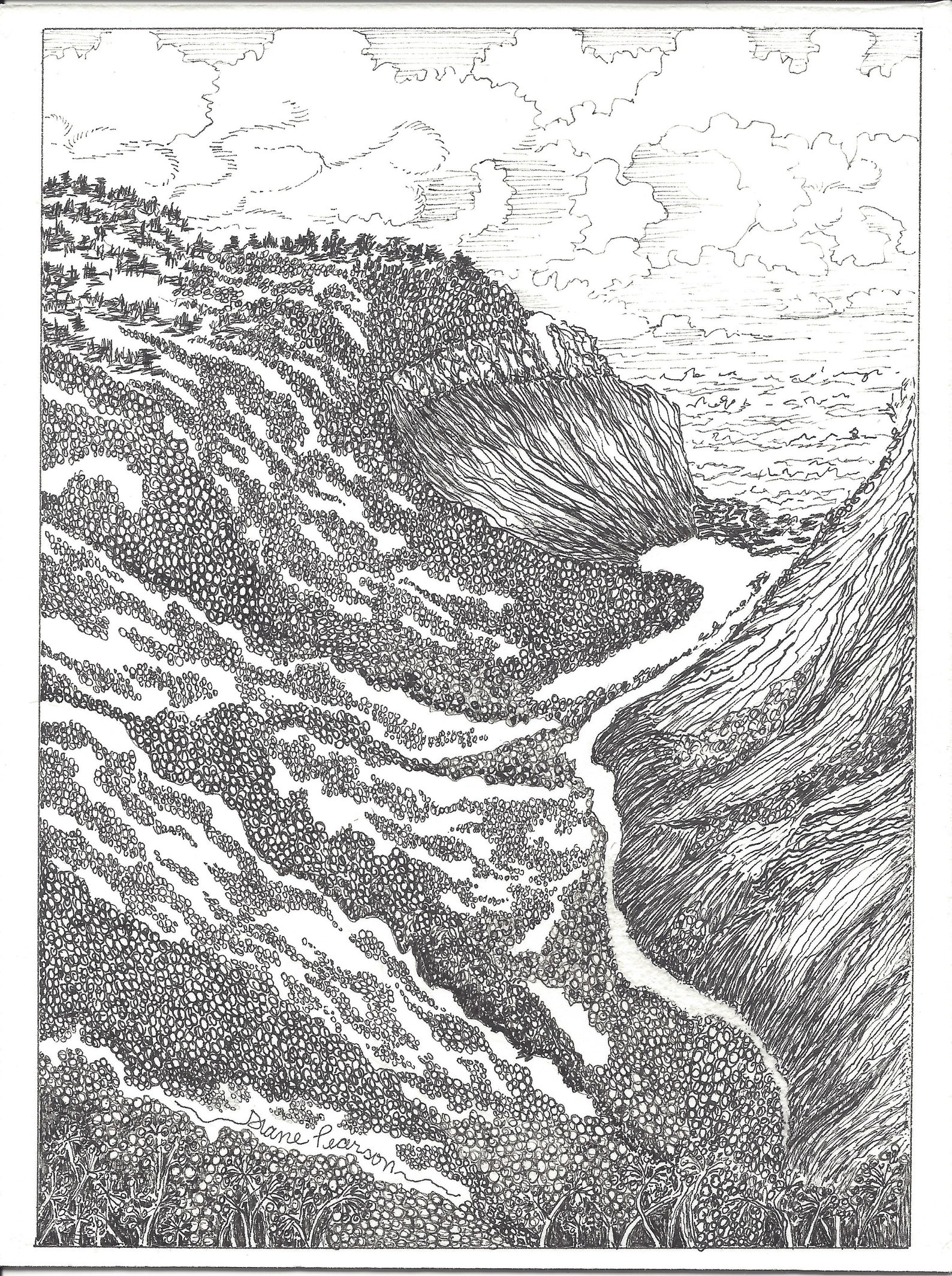 Down in the Valley Landscape Drawing Original Art Pen and Ink Etsy