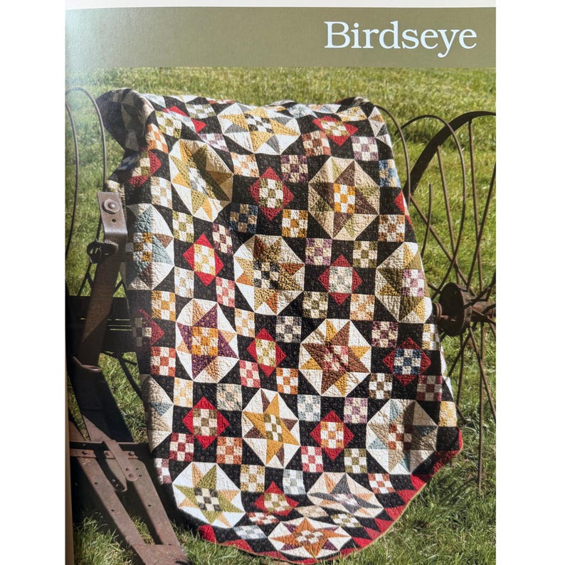 Bird's Eye Quilt Kit From the Book Miss Rosie's Farmhouse by Meeting ...