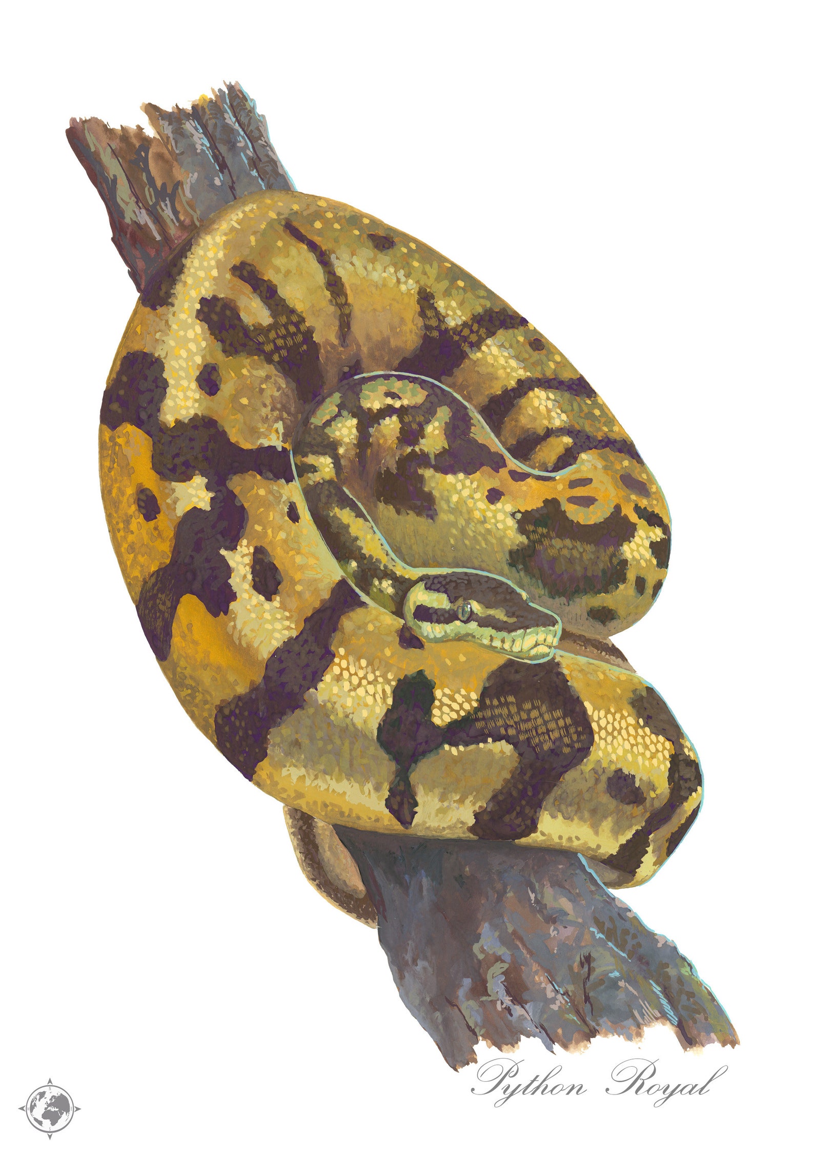 Snake Painting Royal Python print reptile art illustration | Etsy