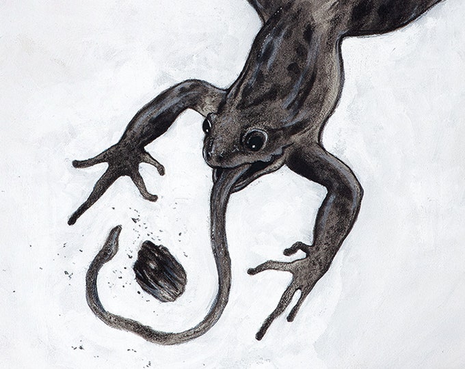 Frog \u2022 Illustration \u2022 High Quality Giclee Print