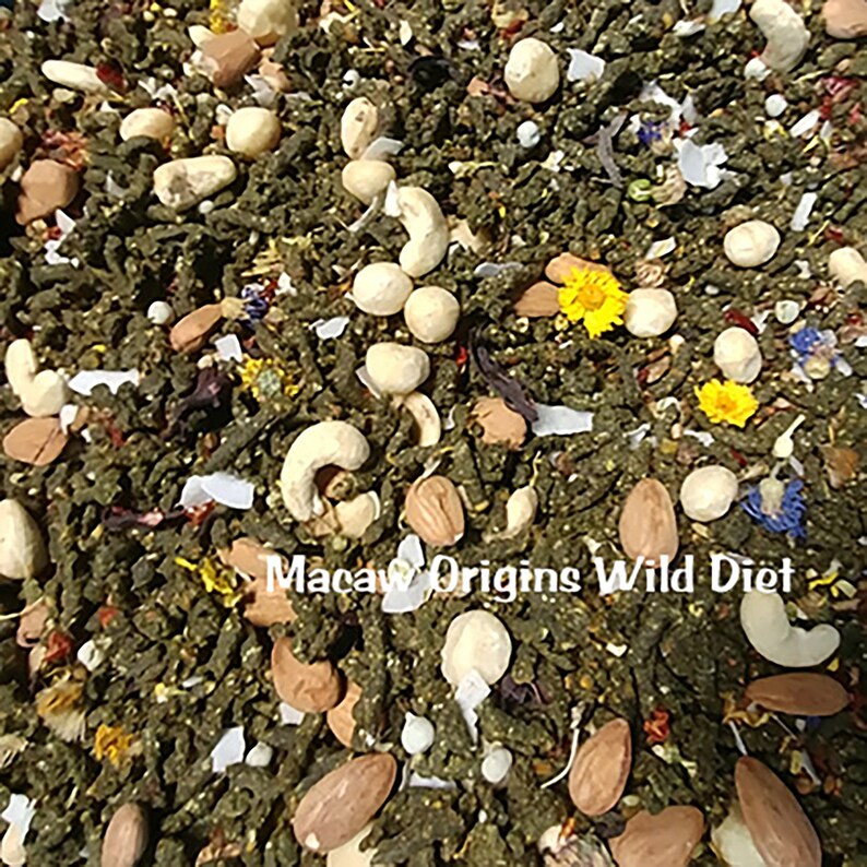 Macaw Organic Bird Food BirDelicious Origins Wild Diet® Etsy