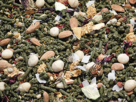 ECLECTUS  Human-Grade Organic Bird Food - BirD-elicious! Origins Wild Diet® - The Best Bird Food® 16oz HANDMADE
