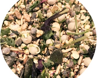 SPROUTFUL Mix! PRESPROUTED Organic Human-Grade Sprout Mix for Birds 16oz HANDMADE