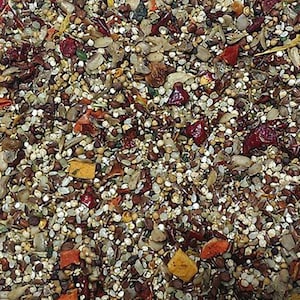 Cockatiel parrot bird food seed mix organic human grade