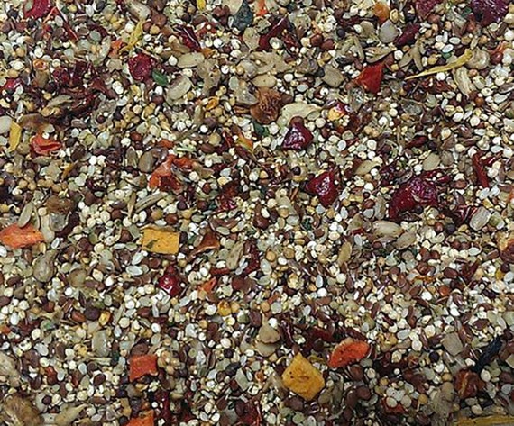 COCKATIEL Organic Human-Grade Bird Food - BirD-elicious! Origins Wild Diet® - The Best Bird Food® 16oz HANDMADE