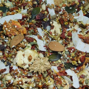 SEED Mix Small/Medium Beaks PRESPROUTED Organic Human-Grade Seed Mix for Birds SeeD-elicious!™ 16oz HANDMADE