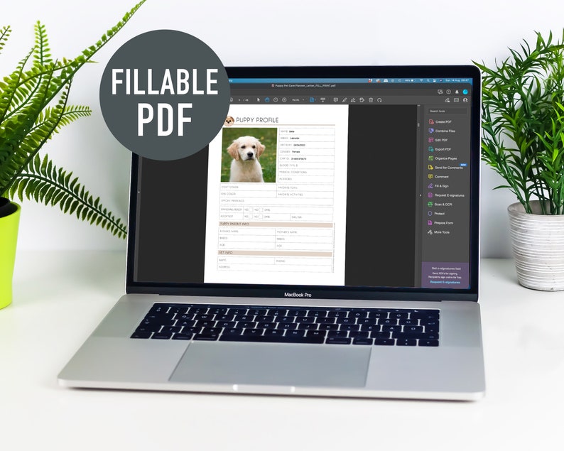 K&ouml;nnte beinhalten: Ein Laptop-Computer zeigt ein ausf&uuml;llbares PDF-Dokument mit einem Welpenprofilformular an. Das Formular enth&auml;lt Felder f&uuml;r den Namen des Welpen, die Rasse, das Geburtsdatum und andere Informationen. Das Dokument ist in Adobe Acrobat Pro ge&ouml;ffnet.
