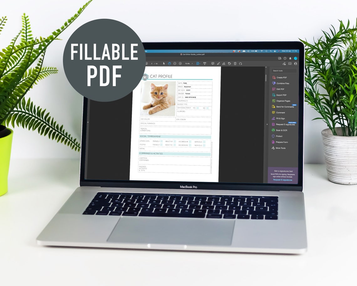 Cat Sitter Guide Fillable & Printable PDF – Kitty Pet Sitter Notes ...
