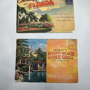 Vintage Florida  Post Cards