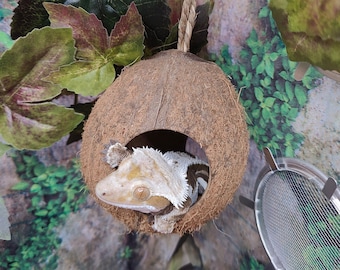 Hanging Coconut with 3 Holes - (Great for Crested Geckos, Anoles, Tree Frogs, Tarantulas and Hermit Crabs under 2.5&quot;)