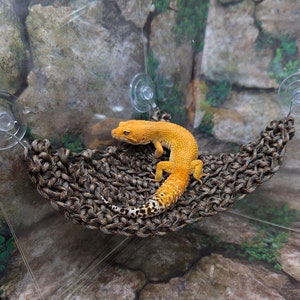 Braided Paracord Hammock (Comes in different sizes-Great for Tree Frogs, Crested Geckos, Tarantulas, Snakes, Bearded Dragons, Hermit Crabs)