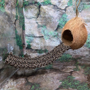 May include: A natural coconut shell pet house with a woven brown rope ramp. The house is suspended by a natural fiber rope. The background features a rock wall with green foliage, creating a natural habitat setting.
