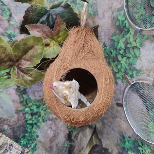 Coconut Hide -Comes in 2 sizes (Great for Crested Geckos, Leopard Geckos, Tree Frogs, Younger Cornsnakes, and Hermit Crabs under 2")