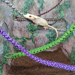 Paracord Vine