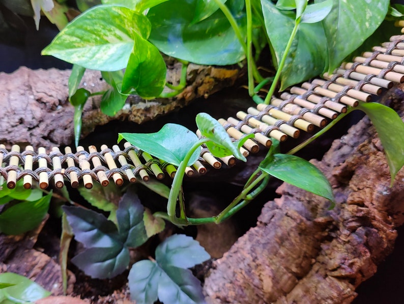 May include: A small, brown bamboo bridge for reptiles or small animals. The bridge is made of woven bamboo sticks and is supported by a green leafy plant.
