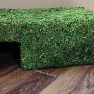 May include: A green moss-covered hide for small animals, such as hamsters or gerbils. The hide has a small opening on one side.