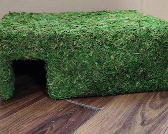 Terrestrial Mossy Hide