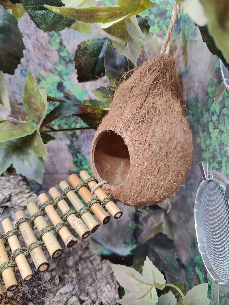 May include: A brown coconut shell birdhouse hanging from a rope, with a bamboo bridge leading to the entrance. The birdhouse is surrounded by green leaves.