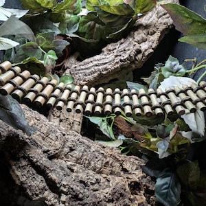 May include: A reptile bridge made from bamboo and dark brown connectors, set against a textured cork background. The bridge is surrounded by green leaves and foliage, designed for reptile habitats. The bridge is made of natural materials.