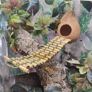 May include: A small, natural coconut shell birdhouse with a bamboo bridge leading to it. The birdhouse is hanging from the ceiling of a terrarium with green artificial plants and a mesh screen.