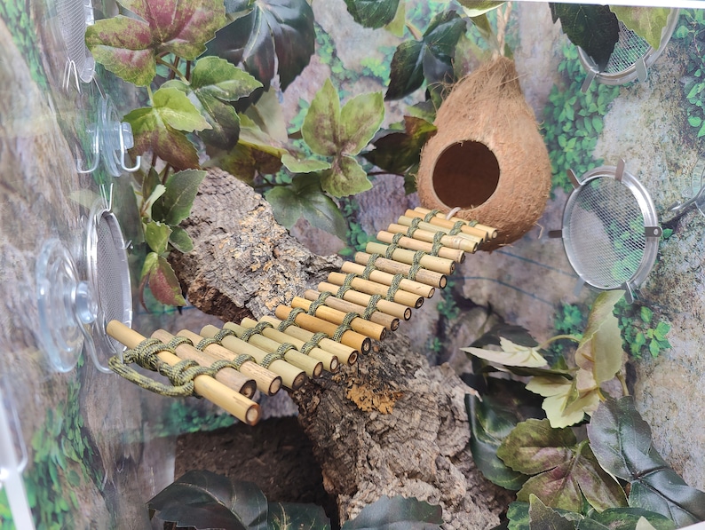 May include: A small, natural coconut shell birdhouse with a bamboo bridge leading to it. The birdhouse is hanging from the ceiling of a terrarium with green artificial plants and a mesh screen.