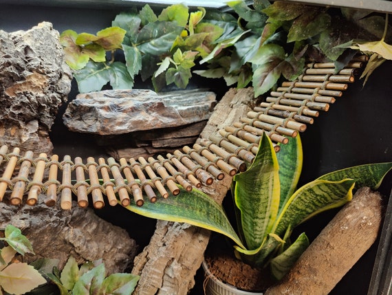 Bamboo Bridge-  4" Width - (Perfect for Crested Geckos, Leopard Geckos, Juvenile Bearded Dragons, Tarantulas, Hermit Crabs, and Tree Frogs)