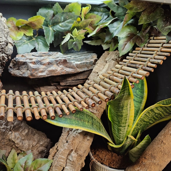 Bamboo Bridge-  4" Width -Reptile, Amphibian, and Hermit Crab Habitat Decor and Enrichment