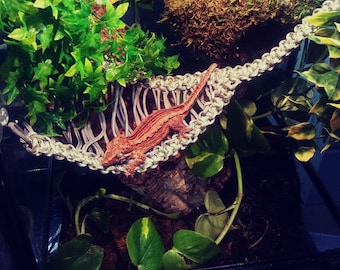 Woven Paracord Hammock