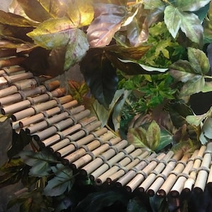 Bamboo Bridge - 6" Width - (Perfect for Adult Bearded Dragons and other large reptiles)