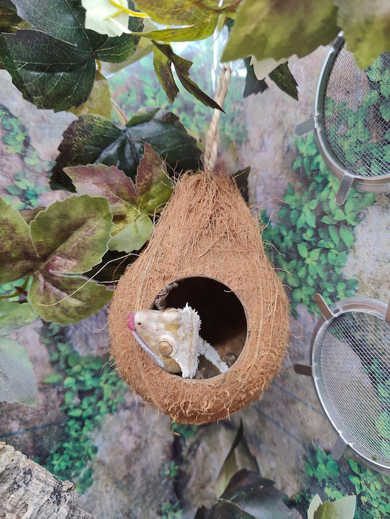 Gecko Coconut Husk Hut, Bird Hut Nesting House Hideouts With Ladder, Coco Texture Provide Food, Durable Cave Habitat With Hanging Loop For Leopard