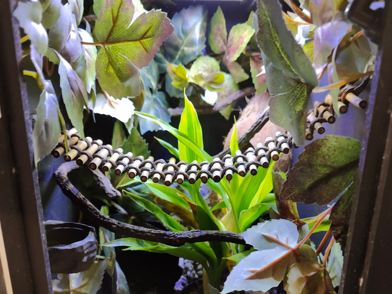 May include: A close-up of a terrarium with a bamboo bridge, green plants, and brown branches. The terrarium is made of glass and has a black frame.