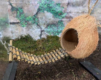 Large Coconut Hide with Bamboo Bridge with wider entrance-(Perfect for White&#39;s Tree Frogs, Larger Geckos,Tarantulas & Hermit Crabs up to 3&quot;)