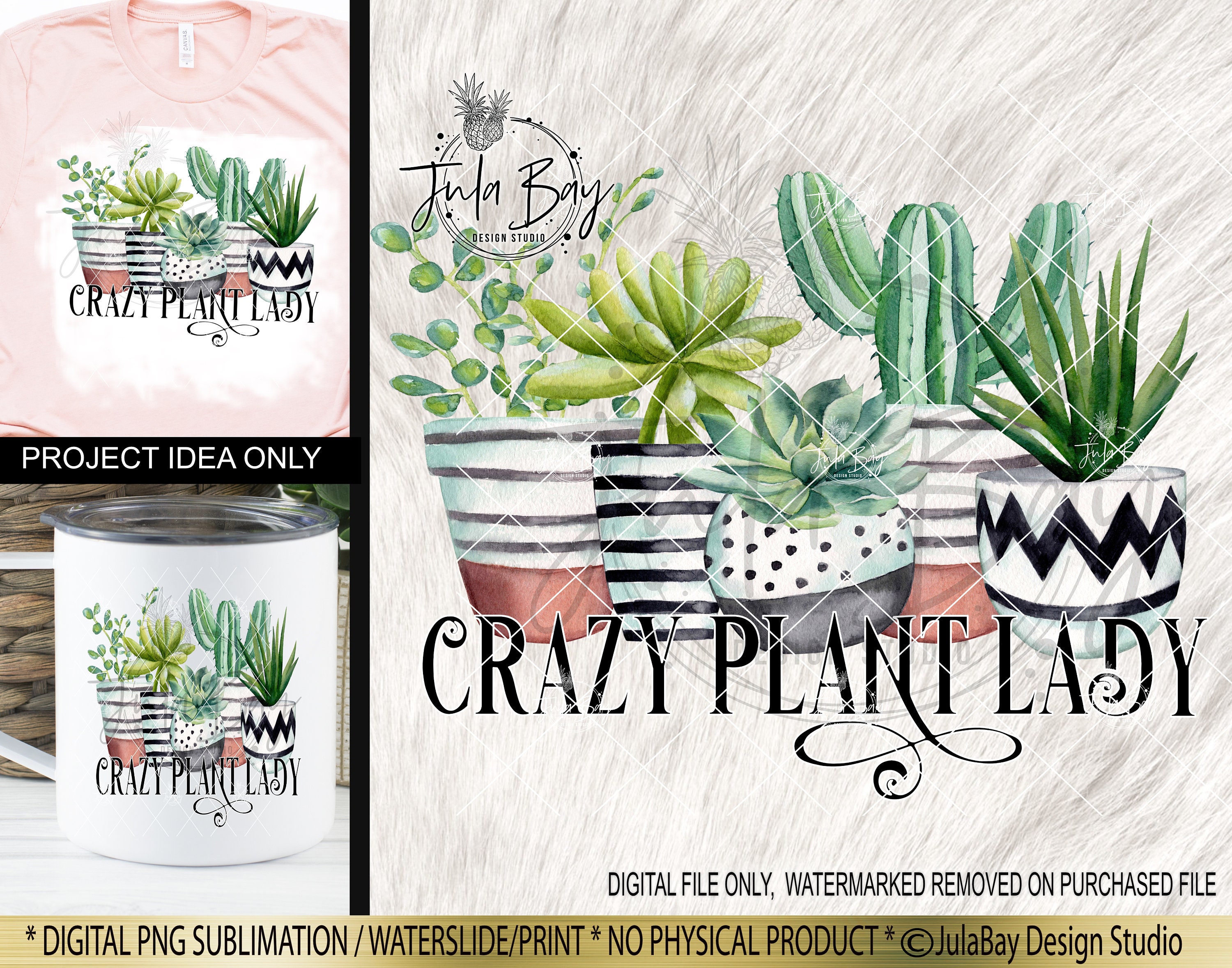 Succulents PNG Crazy Plant Lady Sublimation Design Succulent - Etsy Canada Succulents PNG Crazy Plant Lady Sublimation Design Succulent - Etsy Canada