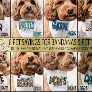 Funny Dog Bandana Sayings PNG Cute Pet ID Tags Sublimation Design Bundle Funny Dog Quotes with Doodle Font Patch Chenille Texture