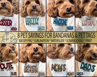 Funny Dog Bandana Sayings PNG Cute Pet ID Tags Sublimation Design Bundle Funny Dog Quotes with Doodle Font Patch Chenille Texture