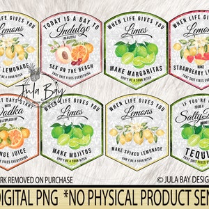 Don't be a Salty Bitch PNG, When Life Gives you Lemons Sublimation Design, Swear PNG, Swear Drink Label Bundle, Sarcastic PNG for Tumblers image 3