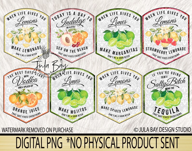 Don't be a Salty Bitch PNG, When Life Gives you Lemons Sublimation Design, Swear PNG, Swear Drink Label Bundle, Sarcastic PNG for Tumblers image 3