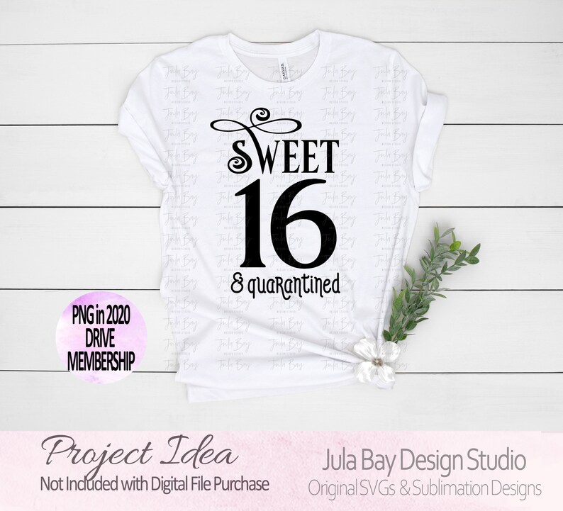 Sweet 16 & Quarantined SVG cut file cricut and silhouette ...