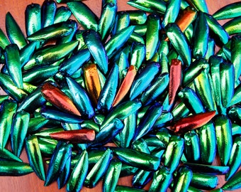 100 g. Wholesale Lots Green Yellowish Blue Jewel Elytra Beetle Wings Shells For Crafts Jewelry Making Embroidery Assorted Mixed Size Color