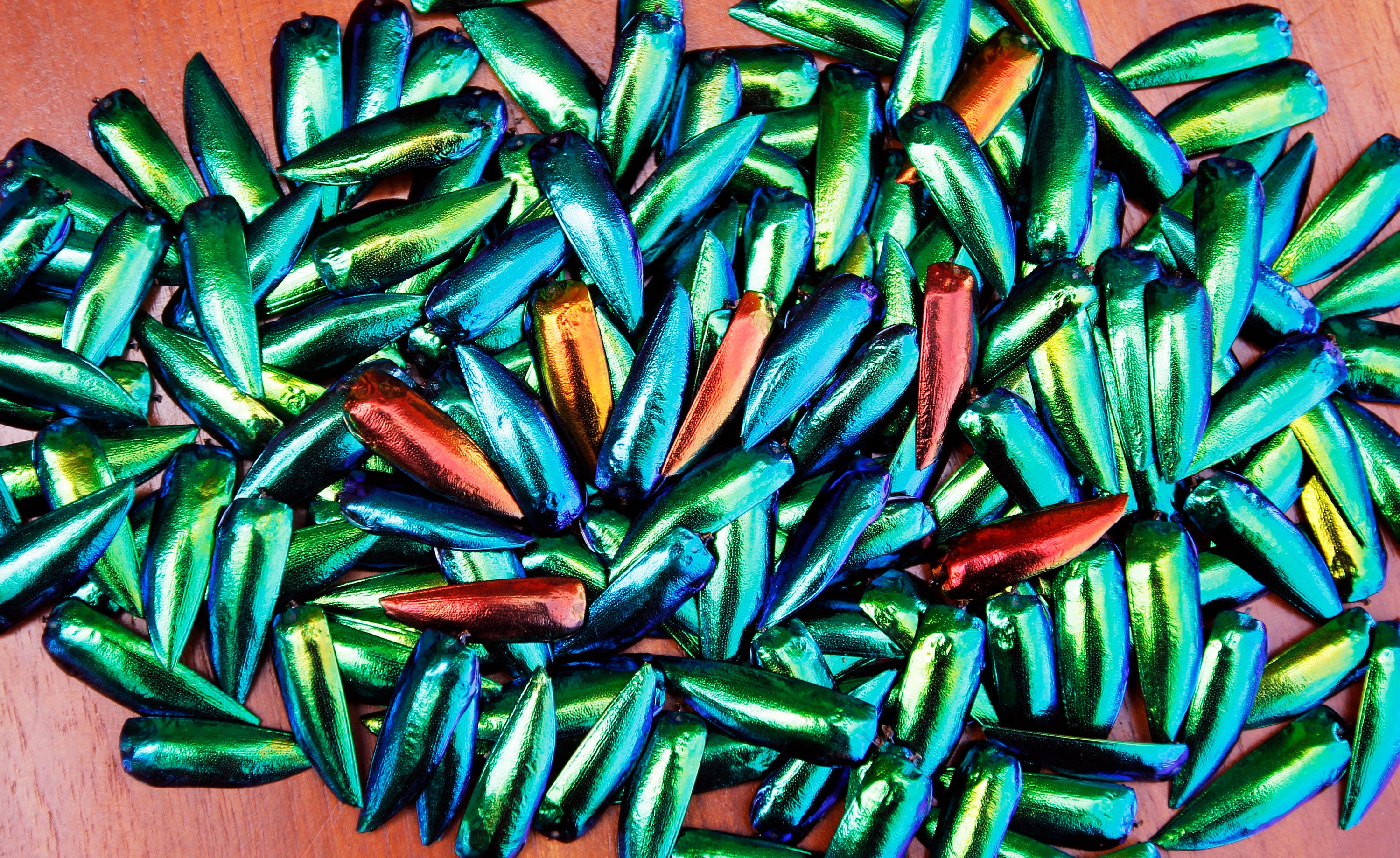 100 g. Wholesale Lots Green Yellowish Blue Jewel Elytra Beetle Wings Shells For Crafts Jewelry Making Embroidery Assorted Mixed Size Color